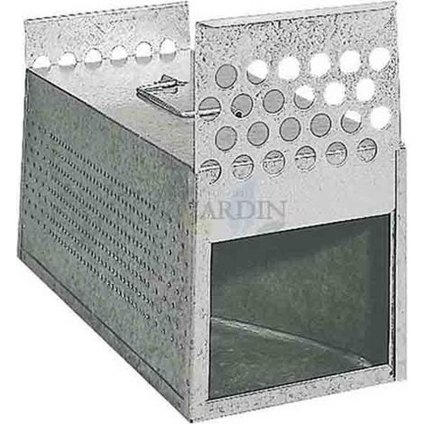 Gabbia di trasporto zincata con 2 scomparti per piccioni e uccelli, 14x39x15 cm