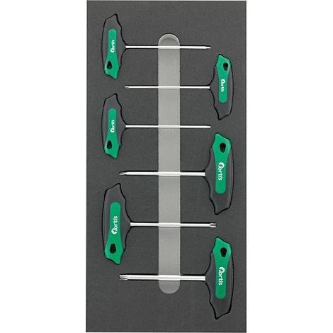 Fortis Werkzeugmodul 1/3 T-Griff Torx (1/2)
