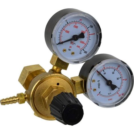 Réducteur CO2/ARGON à 2 horloges (20)