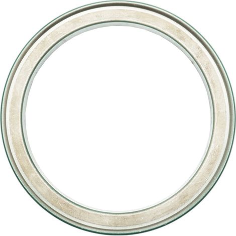 Guarnizione cuscinetto posteriore 146,1x118x12,7mm per John Deere, Renault OEM AR92893 (1/3)