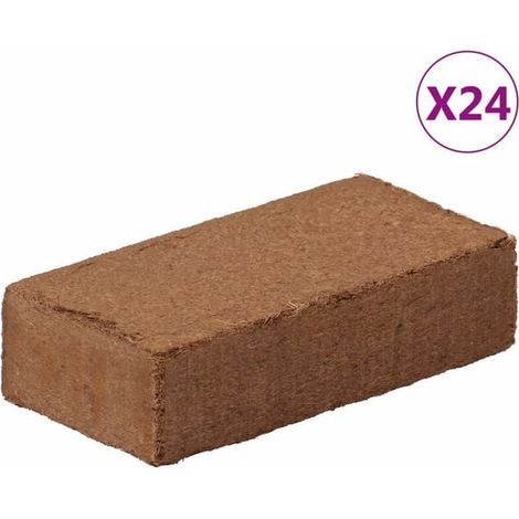 Morceaux de noix de coco, 24 morceaux, pesant chacun 650 grammes, pour un total de 15,6 kilogrammes. (1/5)