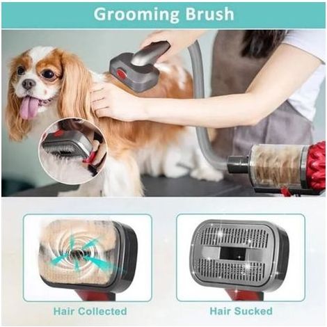2-in-1 Hunde-Staubsaugerbürste, kompatibel mit Dyson V7, V8, V10, V11, V12 und V15, ideal zum Entfernen von losen Haaren, Schuppen, Unterwolle und Knoten (1/3)