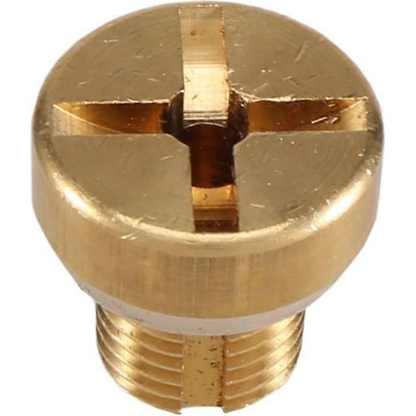 Entlüftungsschraube für Kühlmittel-Ausgleichsbehälter (Gold) (1/5)