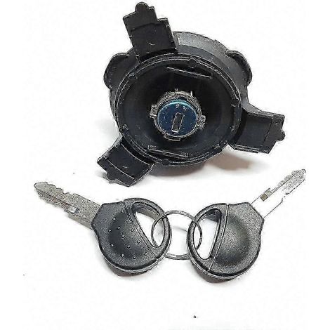 Cache intérieur de réservoir de carburant avec serrure et deux clés, compatible avec Peugeot 206, 207 et Citroën C2 (référence 1508H2 DP).WHBYV (1/4)