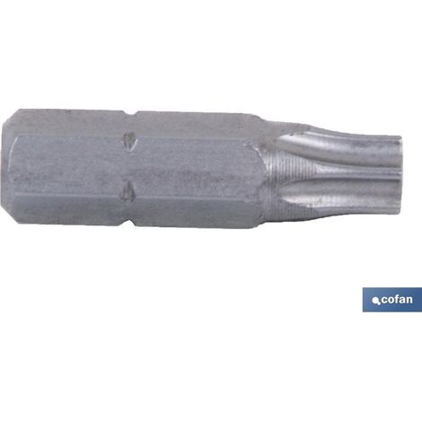 Embout de tournevis Torx inviolable T-10