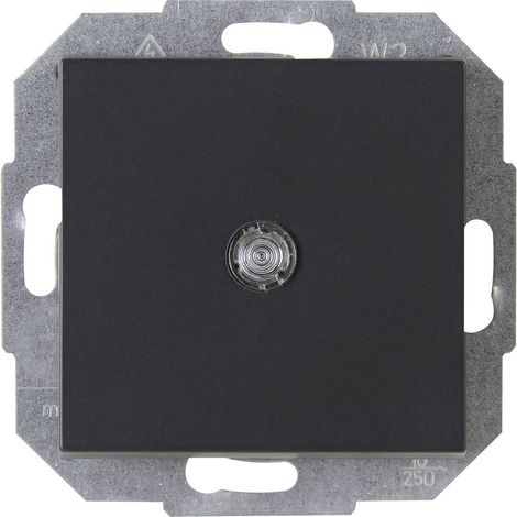 Interrupteur, Interrupteur va-et-vient 1 pièce ATHENIS Kopp ATHENIS 587665089 Insert anthracite 1 pc(s) (1/2)