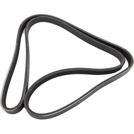 Courroie estriada poly V MAN TGA TGM TGL 489151964  4PK1390 (1/4)