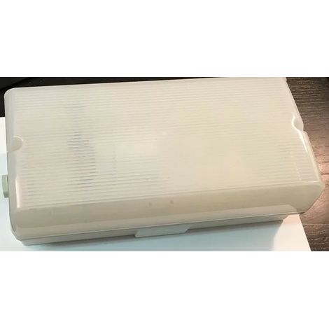 Ura 230000 LSC - IP55-Sicherheitsbeleuchtungsleuchte mit E27-Glühbirne