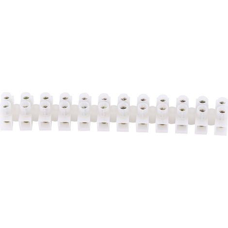 Lot de 10 borniers à vis double rangée 360 V 10 A, barrière électrique à 12 bornes