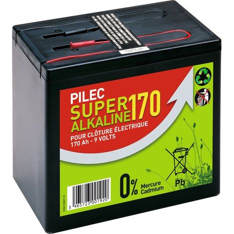 Pile Alcaline 170 Ah Longue Durée, Haute Capacité - Chapron Lemenager (1/2)