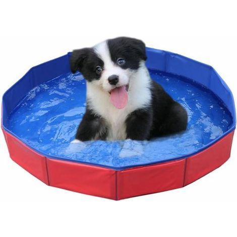 Piscine pour chien ® - Piscines pour chiens - Piscine pliable pour chien - Rouge - 58 cm x 58 cm x 8 cm (1/5)