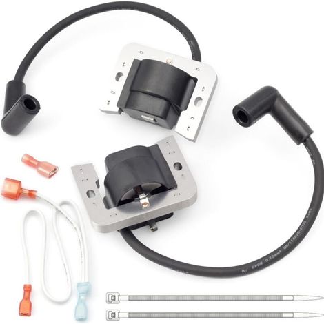 Bobina de encendido de 2 piezas para 32-707-01-S 25-707-03-S32 707 01 con cable (1/3)