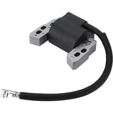 Module de bobine d'allumage de moteur en métal 802574 796964 adapté pour Briggs et Stratton (1/5)