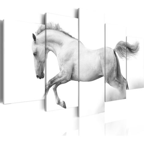 Tableau Imprimé "Cheval Passion & Liberté" 100 x 200 cm (1/2)