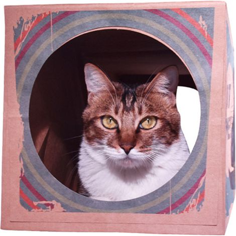 Faltbarer Tunnelbeutel aus Kraftpapier für Katzen, interaktives Spielzeug zum Verstecken, Beobachten und Lernen (1/5)