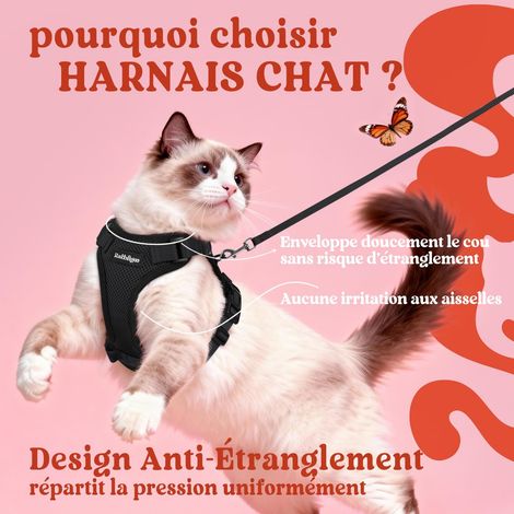 Harnais pour chat réglable avec laisse, gilet de promenade respirant et confortable pour chaton et chat adulte, sécurisé anti-évasion (1/5)