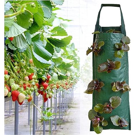 2 sacs de culture verticaux en PE avec 8 poches, pour germination 3D, jardins verticaux, balcons – Gain de place, système suspension inclus, drainage efficace, parfait salades et fraises (1/3)