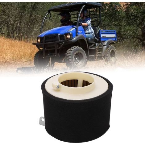 Luftfilterpatrone 11029-1004, kompatibel mit dem 2017 MULE™ SX 4x4 (1/5)