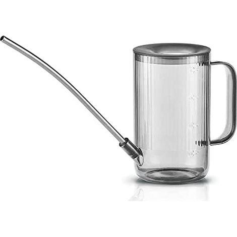 Arrosoir pour Fleurs,Petit Arrosoir,Arrosoir à Long Nez en Acier Inoxydable,Arrosoir pour Plantes d'intérieur,Arrosoir en Plastique Transparent, Gris (1/5)