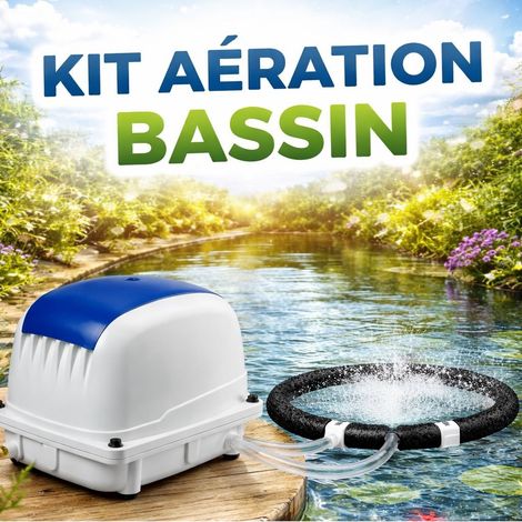 Set Aérateur Bassin Pompe à air 2700 l/h 1 diffuseur 31 cm SILENCIEUX. Pour 5000 litres environ (1/5)