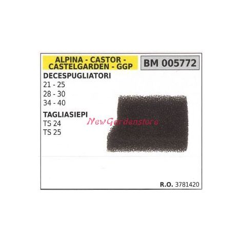 Filtro aria ALPINA motore decespugliatore 21 25 28 30 34 40 005772