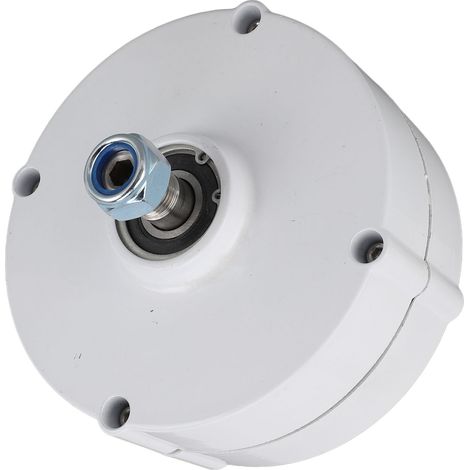 Générateur à double arbre 48 V, moteur électrique synchrone triphasé à aimant permanent pour éolienne, 200 W (1/5)