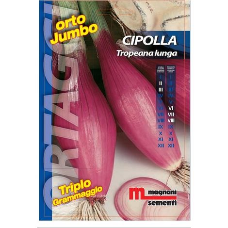 Semi di Cipolla Tropeana Lunga
