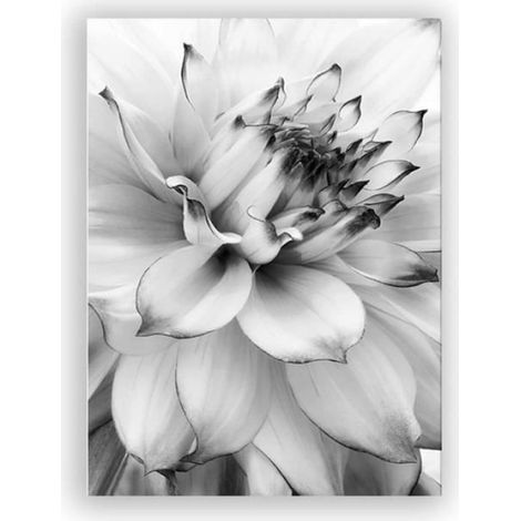 Lot de 3 Peinture sur Toile fleurs esthétiques - Noir et blanc - Plume de pissenlit - Décoration murale - Sans cadre - 21x30 cm (1/4)