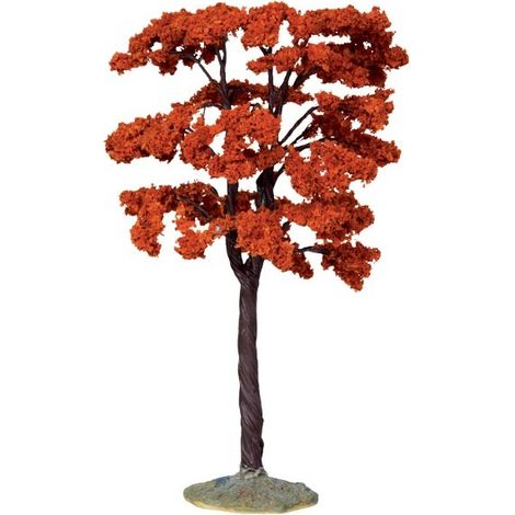 Yellowwood Tree, Large Cod. 44794