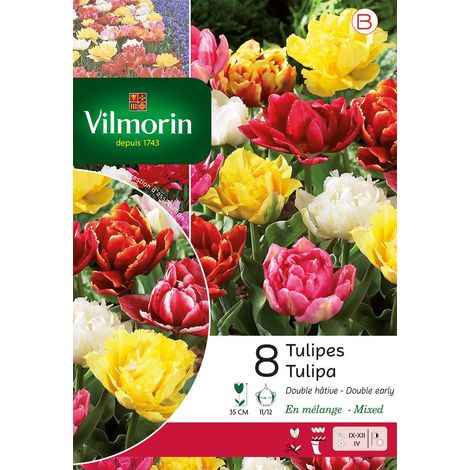 Vilmorin Tulipe Double Hâtive en Mélange (x8) (1/3)