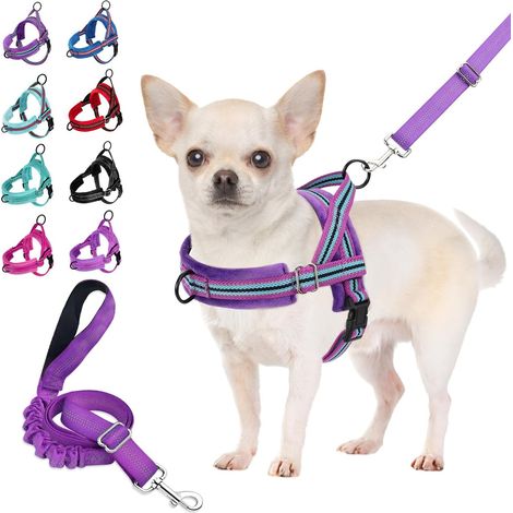 Ensemble Harnais et Laisse pour Chien, Harnais Petit Chien à Ajustement Rapide Harnais à Gilet Rembourré pour Petits Chiens, avec Harnais de Sécurité et Bungee Ajustable pour Chien (1/5)