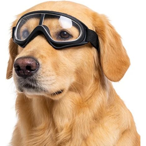 Lunette Pour Chien, Protection Chiens Yeux à L'ExtéRieur, RéSistant Au Vent Et à La Poussière, Réglable Lunettes De Vélo Moto, Convient Pour L'extérieur (1/5)