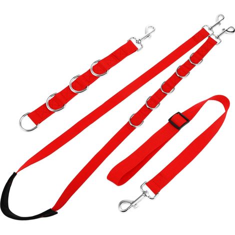 Hundepflegehalsband für Pflege und Reinigung – Verstellbares Halsband – Rot (1/5)