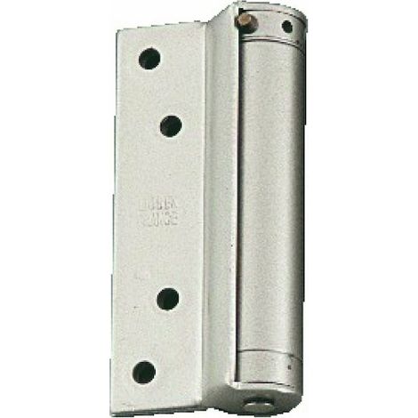 Groom – Charnière pour meuble simple action N° 05 – Acier argent – Ouverture 180° – Charge jusqu'à 100 kg – Indémontable avec axes rivetés