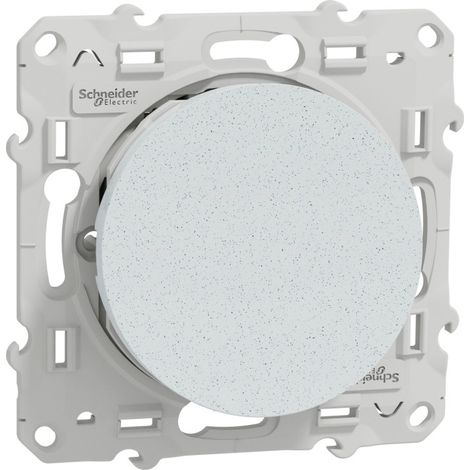 Odace, va-et-vient Blanc Recyclé, 10 A, à vis (S510204)