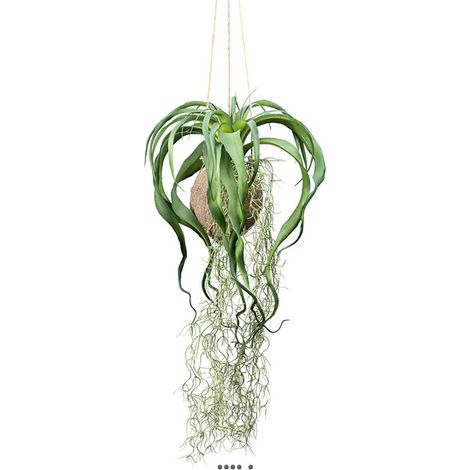 Kokedama artificiel original tillandsia sur coco L 63 cm (1/3)