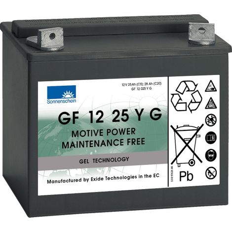Batterie Plomb 12V 25Ah Exide (197X132X184) (GF12025YG)