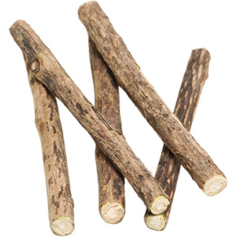 10 palitos de madera, vid plateada natural, cuidado dental para gatos, premio para molares, juego y relajación. (1/5)