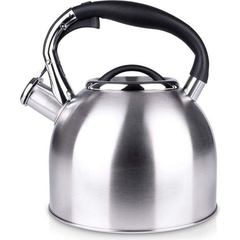 Bouilloire sifflante 2 litres en acier inoxydable couleur argent pour cuisine, capacité 2L, matériau acier, finition argentée (1/5)