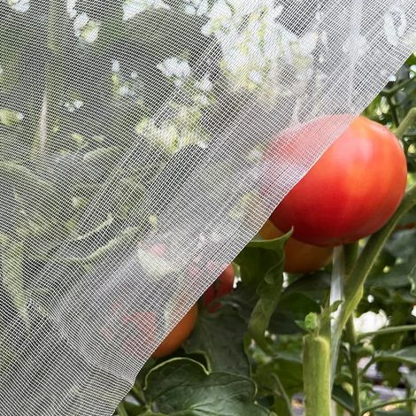 Filet de protection contre les insectes pour légumes et fruits (1 x 5 m) - Protection contre les insectes et les nuisibles - Filet anti-oiseaux pour serres et jardins