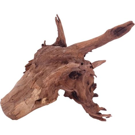 M Driftwood Flußwurzel Nr.4847 Holz Deko Aquascaping
