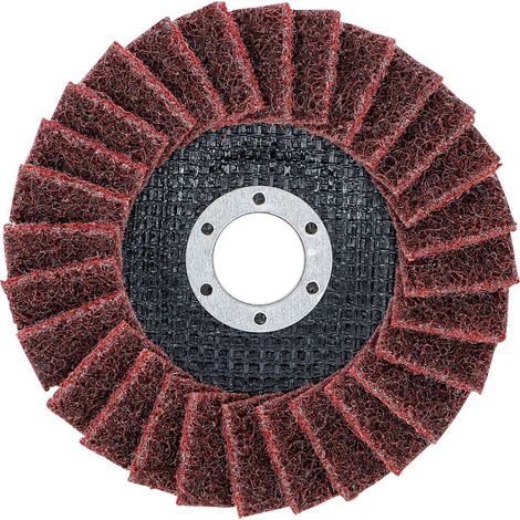 BGS Fächer-Schleif-Scheibe Vlies Ø 125 mm Körnung 120 - 74474 (1/4)