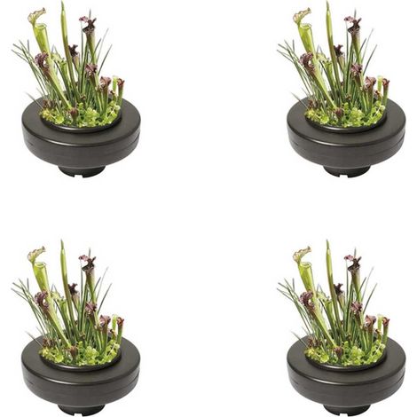 4 Paniers flottants 22 cm de diamètre pour plantes de bassins de jardin et étangs
