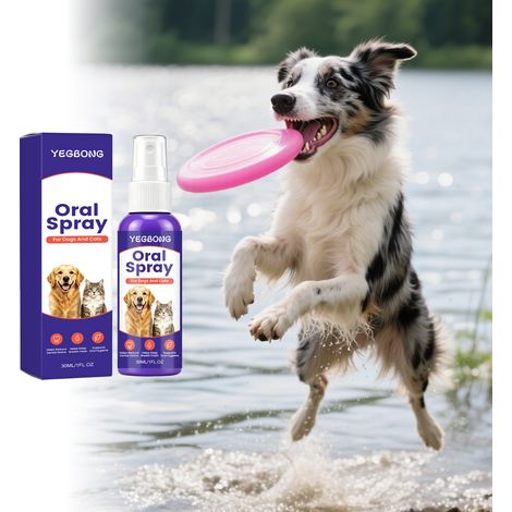 Spray bucco-dentaire pour animaux, convient aux chiens et aux chats, nettoie les dents en douceur, entretien facile, rafraîchit l'haleine – 30 ml (1/5)