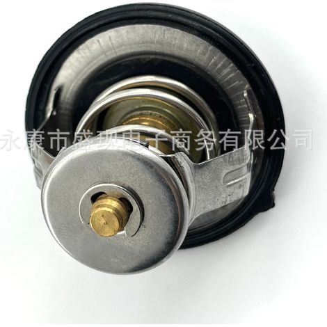 Die Teilenummern 255002GGA0 und 25500-2GGA0 sind für Thermostate in Fahrzeugen von Hyundai und Kia geeignet. (1/4)