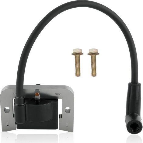Bobina de encendido para 24 584 01-S, 24-584-04-S y 24 584 45-S con tornillos. (1/3)
