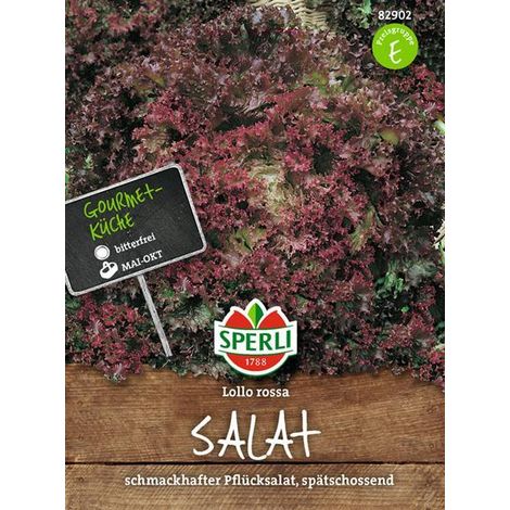 Sperli Roter Pflücksalat Lollo rossa - Gemüsesamen (1/4)