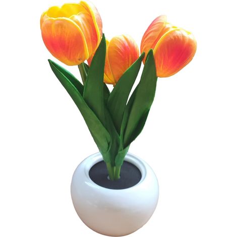 Lampe Fleur de Table Décoration Intérieure LED Éclairage (1/5)