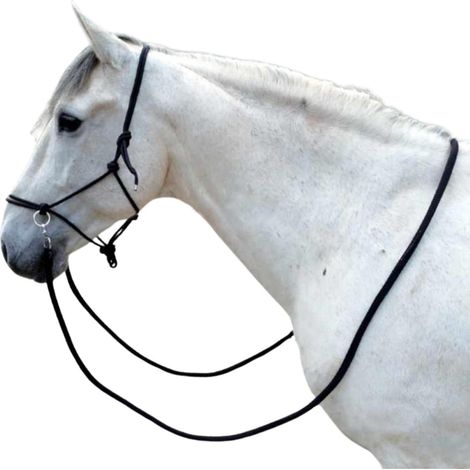 1 Licol À Nœuds, Polypropylène, Rênes Amovibles, Acier Inoxydable, Pour Dressage Et Équitation (1/5)