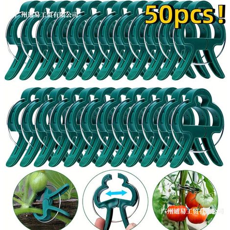 50 pinces de support pour plantes de jardin - Pinces de support vertes pour plants de tomates, potager et treillis (1/5)